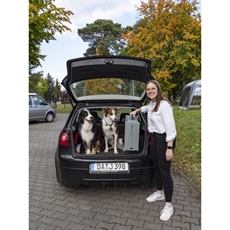 CAMP4 EMMA koiravalaisin 